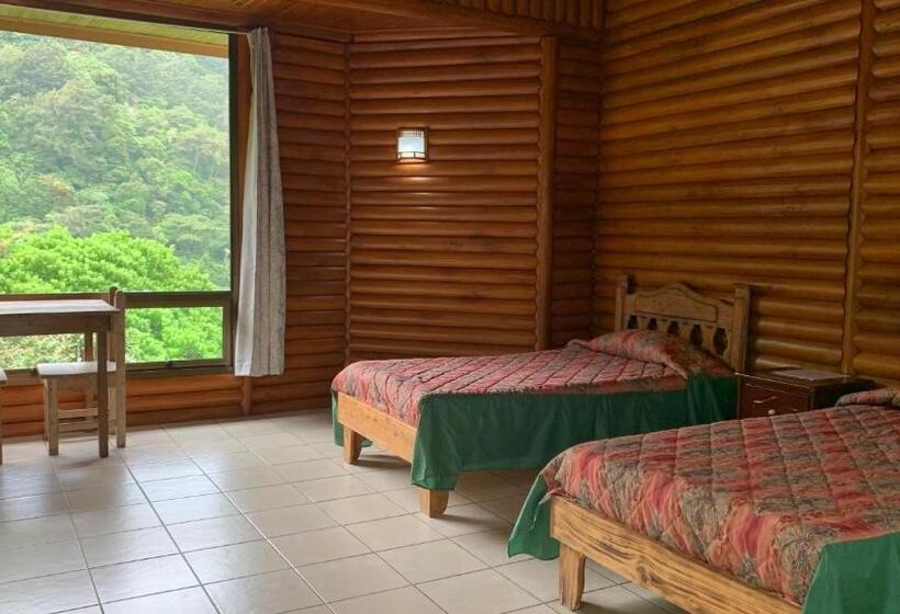 ファミリールーム, Albergue Pozo Verde