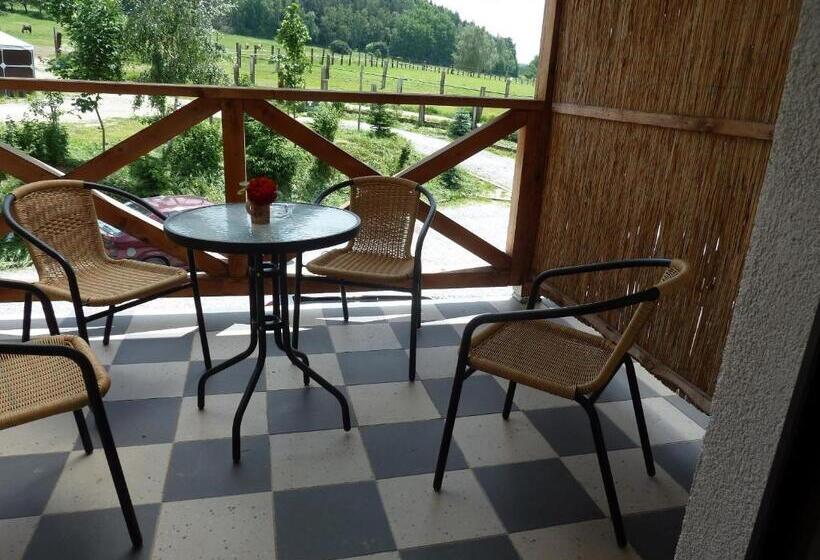 Номер Deluxe, Q Ranch
