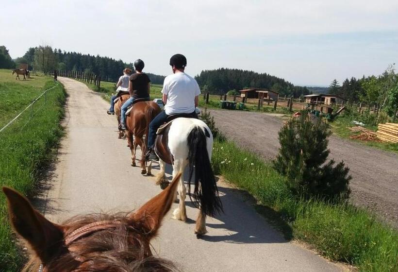 Трехместный Номер Deluxe, Q Ranch