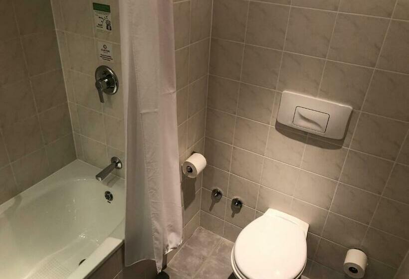 Трехместный Номер Deluxe, Clayton Hotel Leopardstown