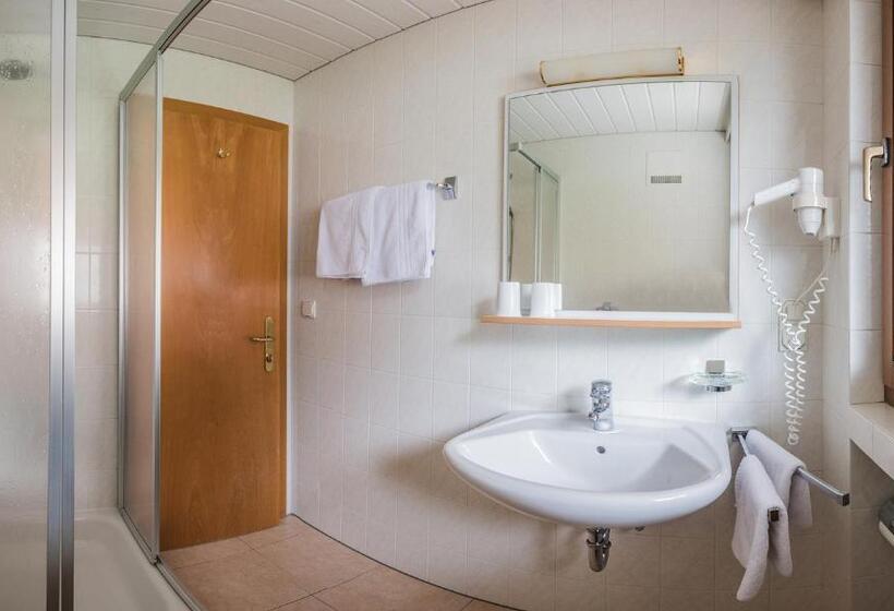 Номер Стандарт с Балконом, Schmalzlhof