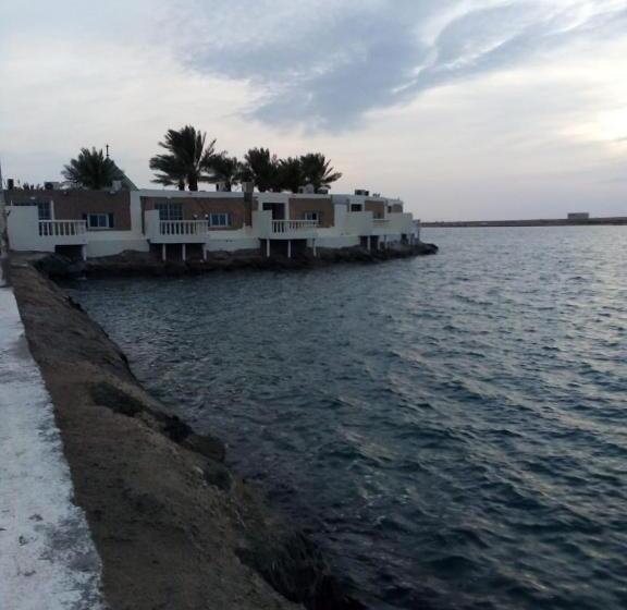 Студия Стандарт Вид на Море, Al Ahmadi Plaza Resort
