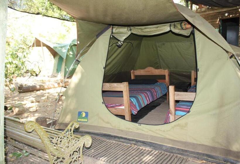Standard Tent, Hazyview Adventure Backpackers