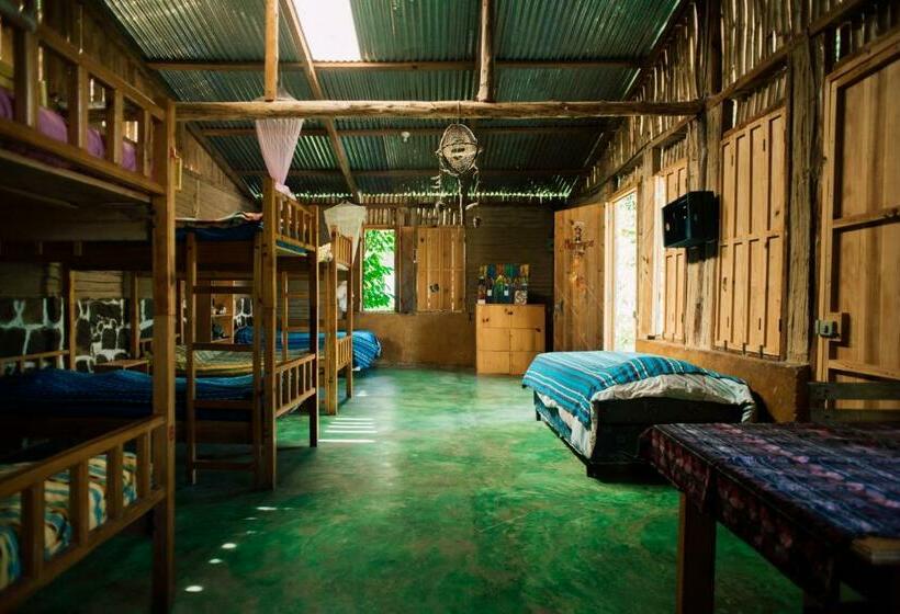 تختخواب در اتاق مشترک, Eco Hotel Mayachik