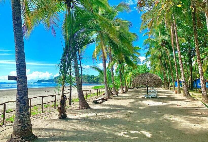 Triple Room Sea View, Oasis & Surf Camp