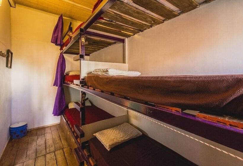 Cama en Habitación Compartida, The Trip Hostel