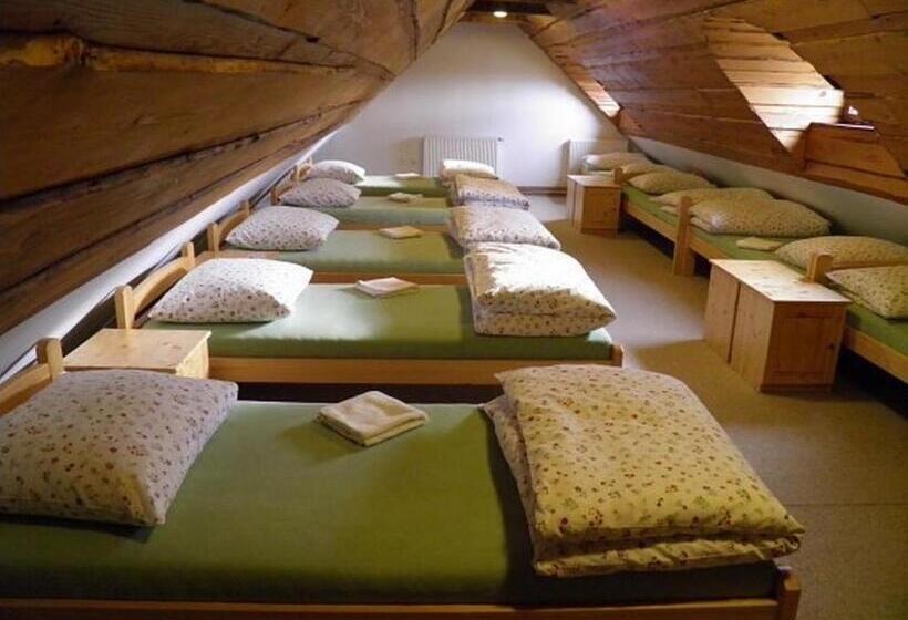 共用房间的床, Dvůr Olšiny  Hotel And Horse Riding