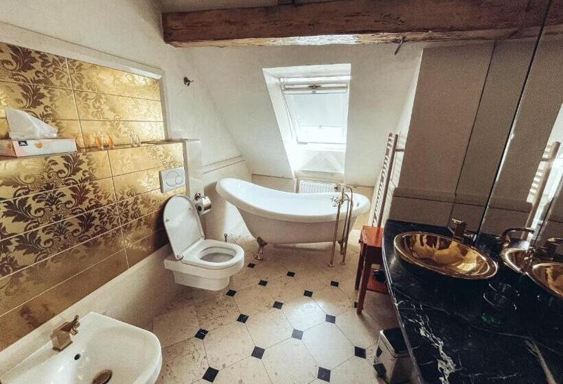 اتاق عادی, štramberk Spa