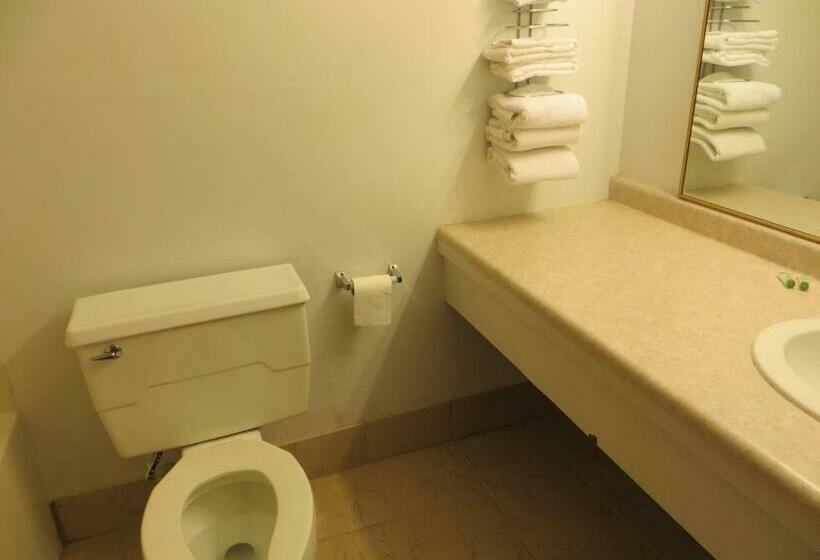스탠다드 룸, Regency Inn Hudson