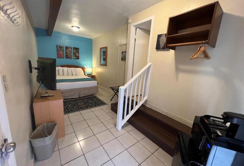 חדר סטנדרט, Seashell Motel And International Hostel