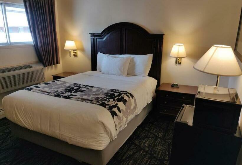 Номер Стандарт, Skyline Motor Inn