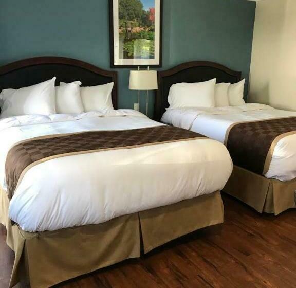 Номер Стандарт, Rex Motel