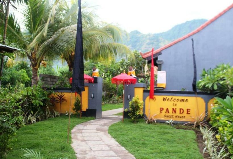 Номер Стандарт, Pande Guest House