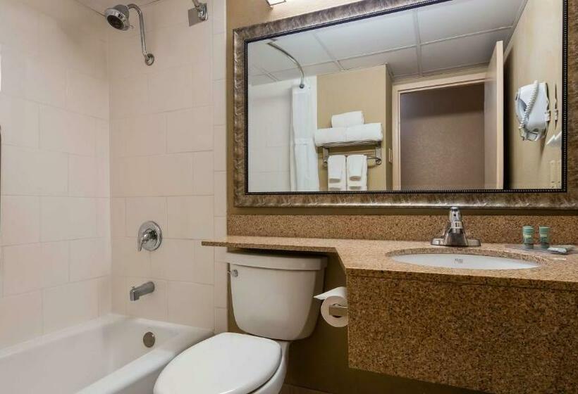 스탠다드 룸 킹사이즈 침대, Best Western Crossroads Of The Bluffs