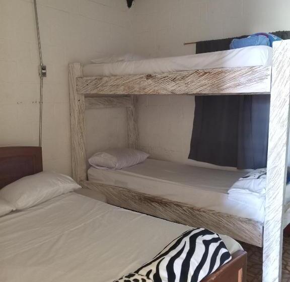 Standart Oda, Colors Fantasy Guatape Backpackers And Travellers
