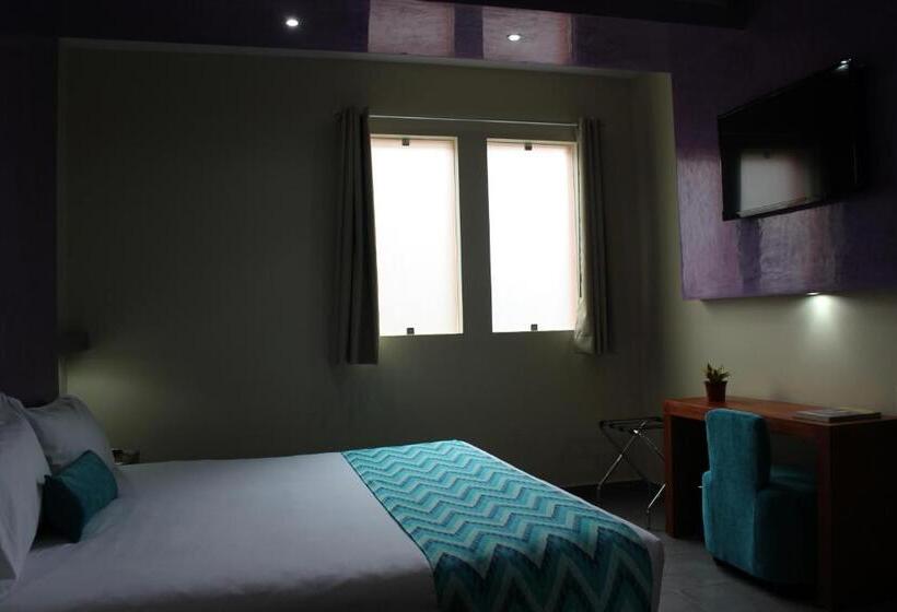 اتاق سوپریور با تخت بزرگ, Orizaba Inn