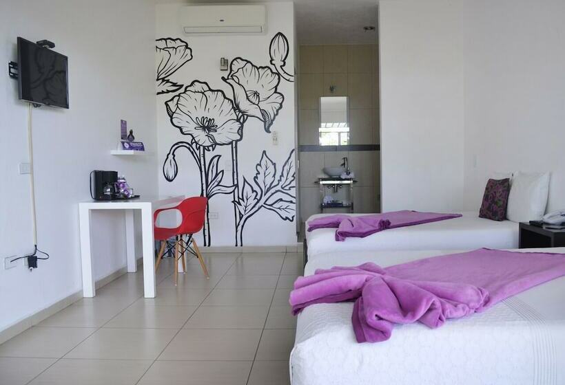标准间, Rancho Macloy Hotel Spa & Social Events