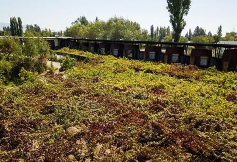 Номер Superior, Cava Colchagua Hotel Boutique
