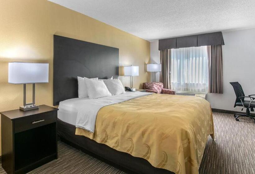 Стандартный Номер Кровать Кинг, Quality Inn & Suites Metropolis I24