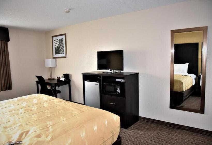 Стандартный Номер Кровать Кинг, Quality Inn & Suites Metropolis I24