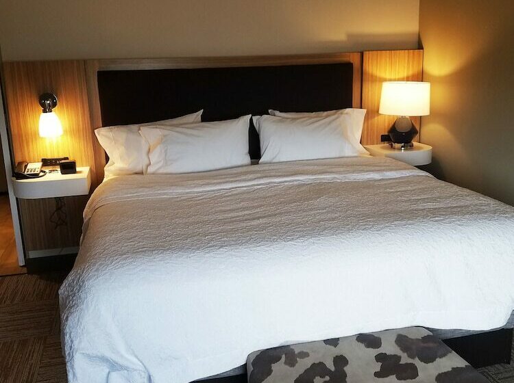 Номер Стандарт Двуспальная Кровать, Hampton Inn Bulverde Texas Hill Country