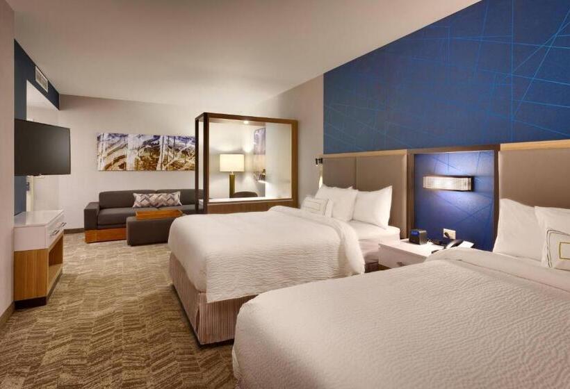Студия Deluxe, Springhill Suites By Marriott Coralville