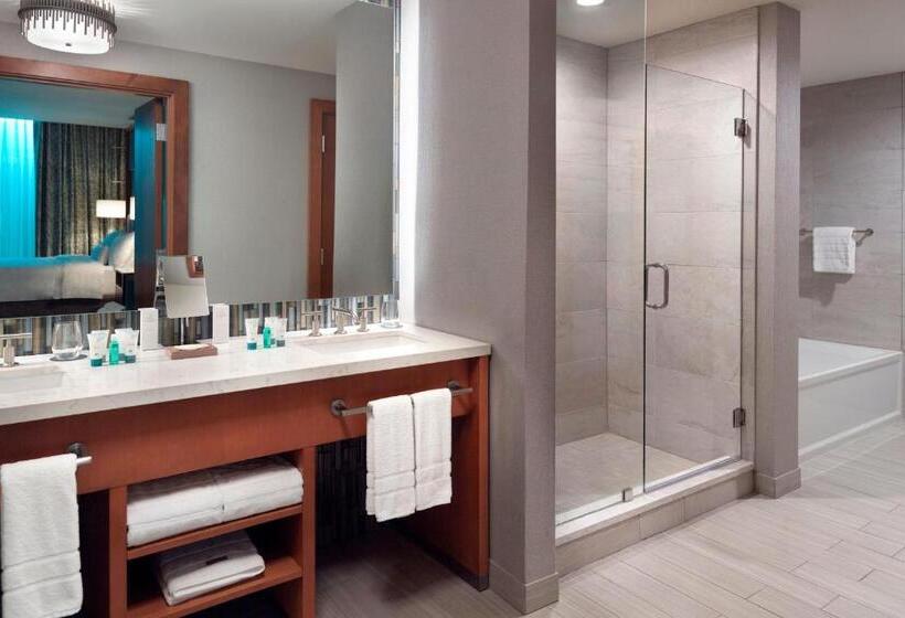 带大床的套房, The Westin Chattanooga