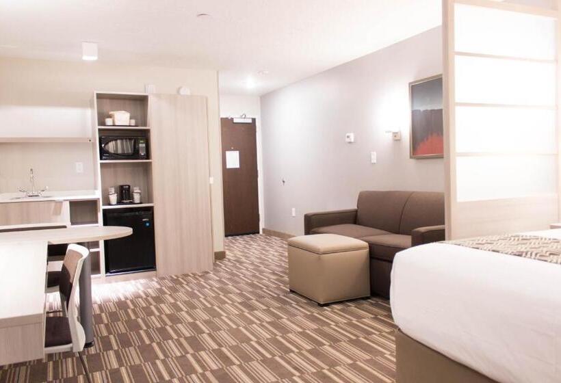 Студия Стандарт, Microtel Inn & Suites By Wyndham Springville