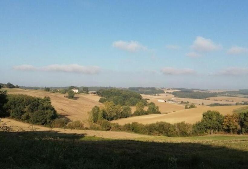 Номер Стандарт, Pey Sud Campanha