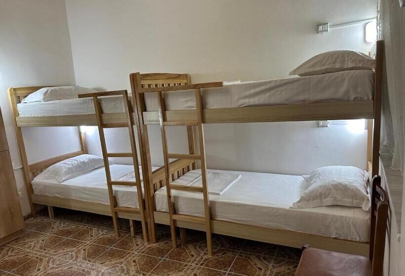 공동 객실, Tirana Lemon Breeze Hostel