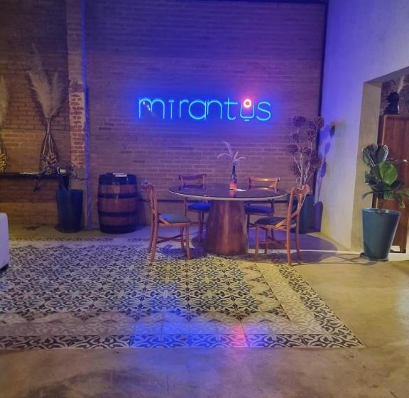 스위트 킹사이즈 침대, Vinícola Mirantus