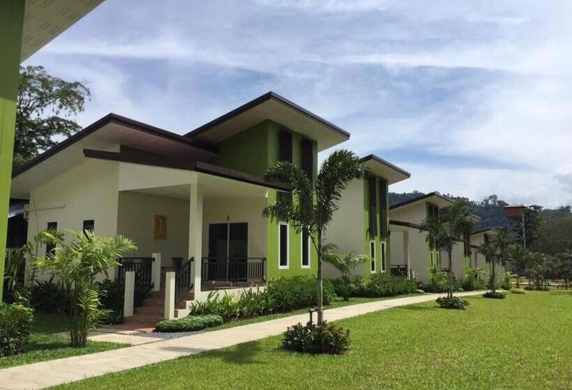 Бунгало Стандарт, Bai Bai Home