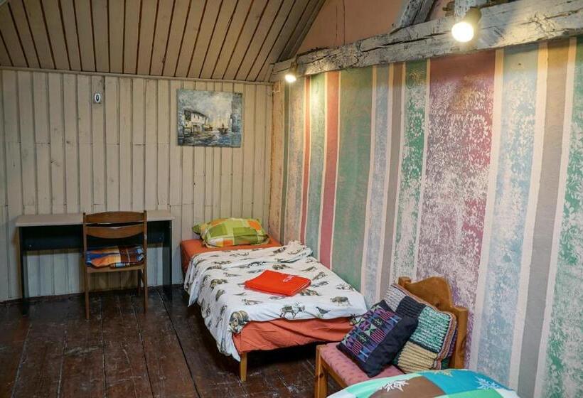 스탠다드 4인용 룸 공용 욕실, Rooster Hostel
