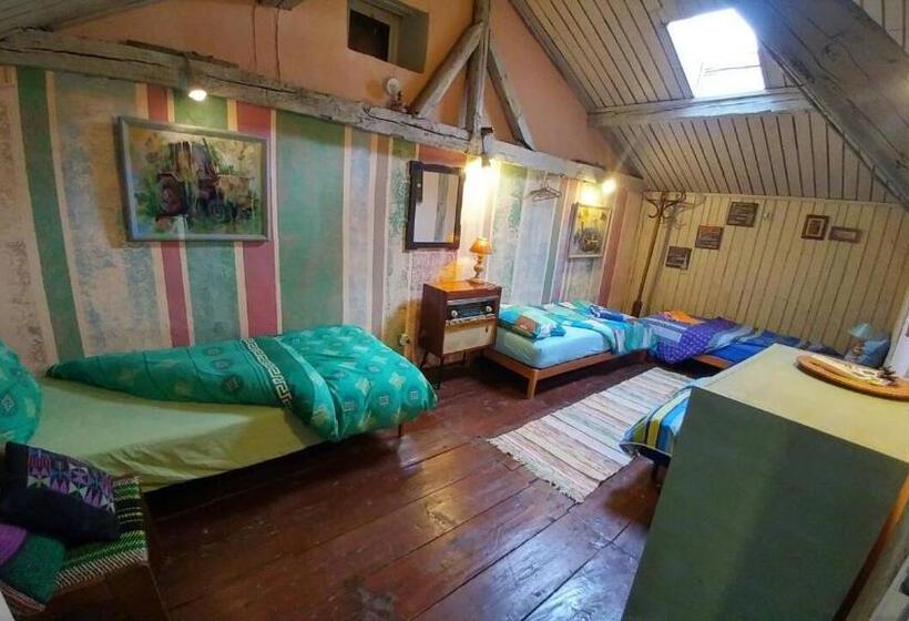 스탠다드 4인용 룸 공용 욕실, Rooster Hostel