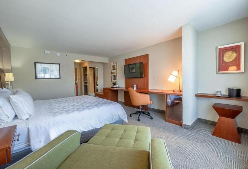 스탠다드 룸 킹사이즈 침대, Holiday Inn   San Jose La Sabana, An Ihg