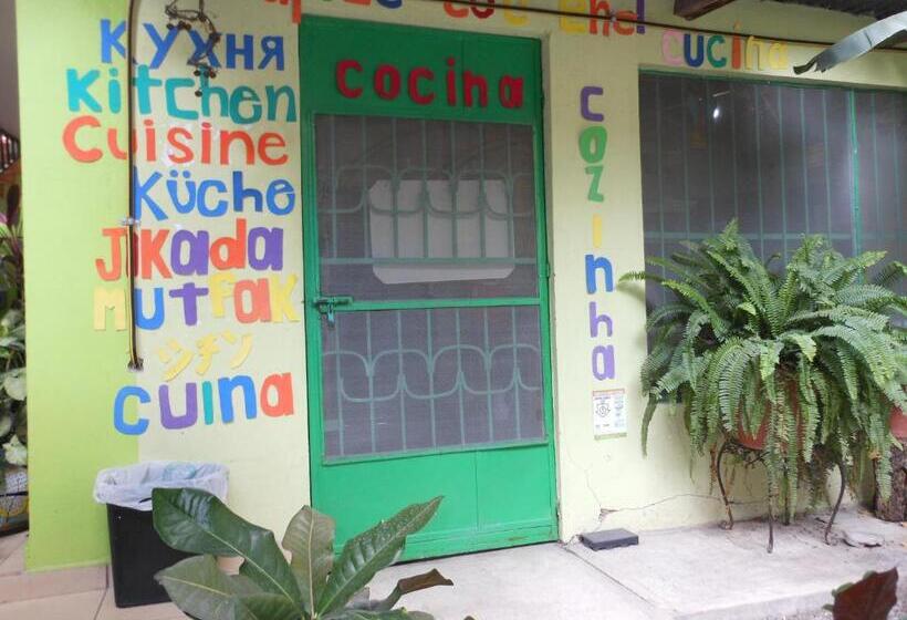 スタンダードルーム, Hostal Casa Huasteca