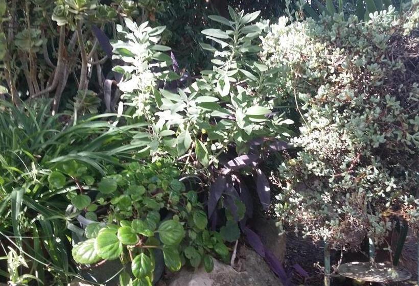 스탠다드 룸, Casa Di Campagna Dal Pozzo