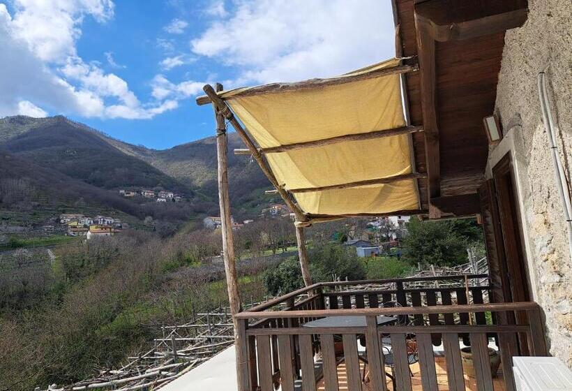 اتاق سوپریور, Agriturismo Il Tintore