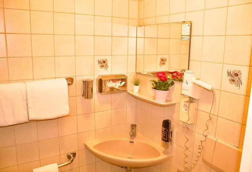 Номер Стандарт Индивидуальный, Austria Stuttgartcity