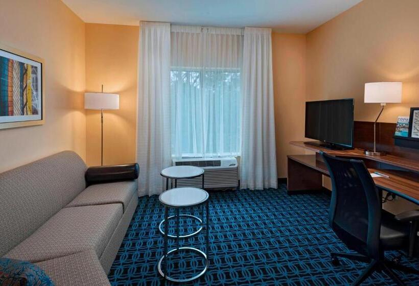 Студио Стандарт Кровать Кинг, Fairfield Inn & Suites By Marriott Atlanta Peachtree City