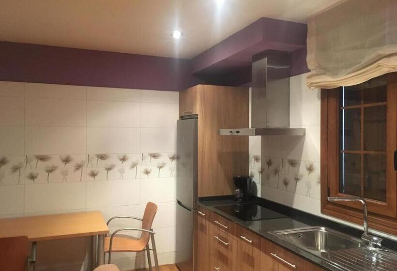Апартаменты Superior 1 Спальня, Hostal Rural Haizea