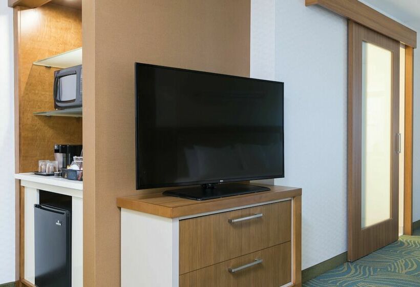 Люкс, Springhill Suites By Marriott Chicago Southeast/munster, In