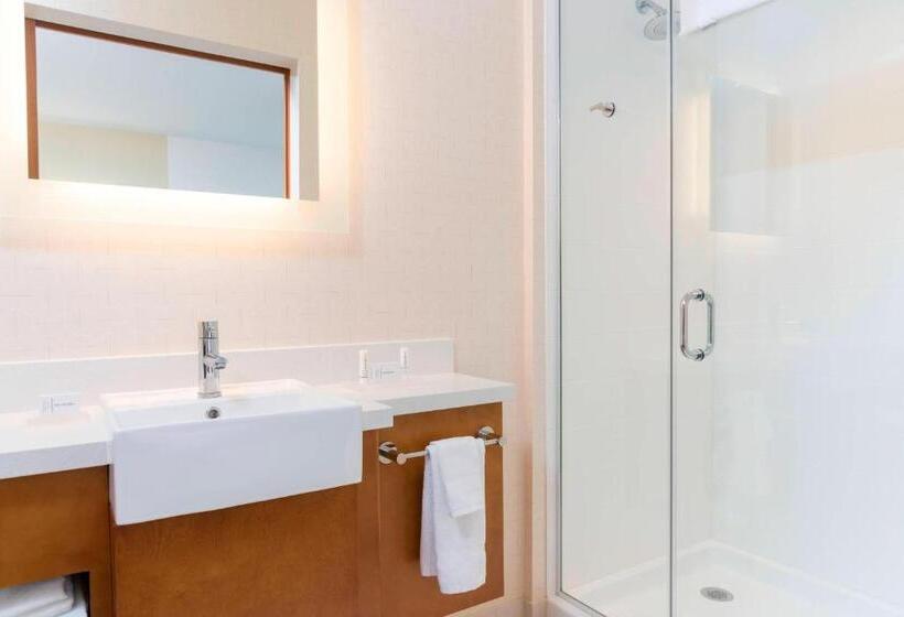 Люкс, Springhill Suites By Marriott Chicago Southeast/munster, In