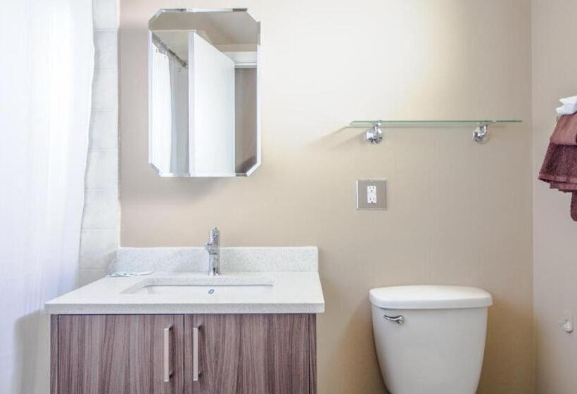Suite, Okanagan Royal Park Inn By Elevate Rooms
