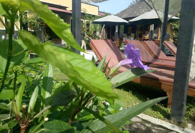 공동 객실, Bunbulan Hill Hostel And Cottage