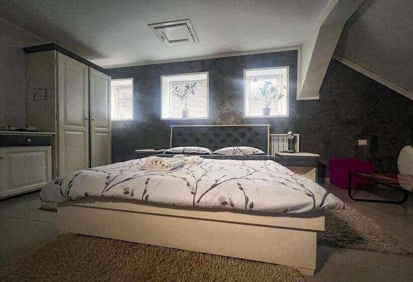 اتاق لوکس, Cazare Moldi   Regim Hotelier