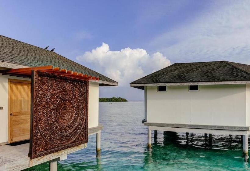 سوییت, Cinnamon Dhonveli Maldives