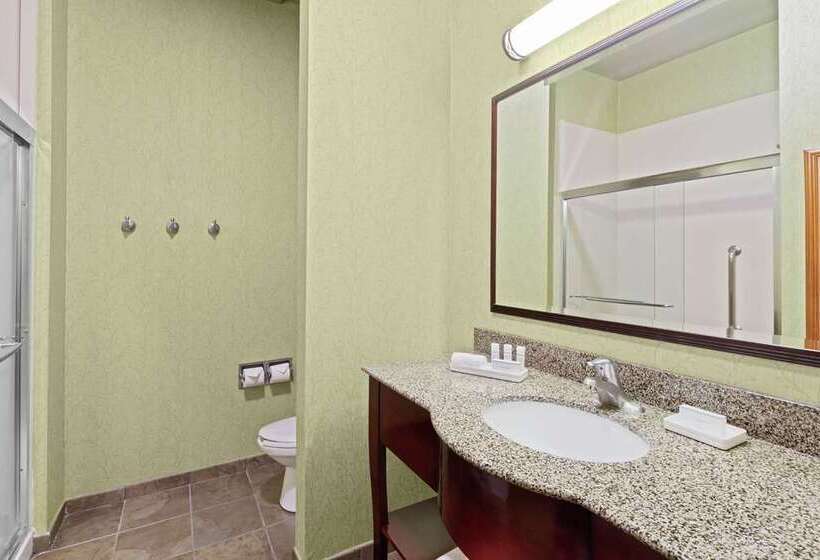 Стандартный Номер Кровать Кинг, Hampton Inn Livonia Detroit