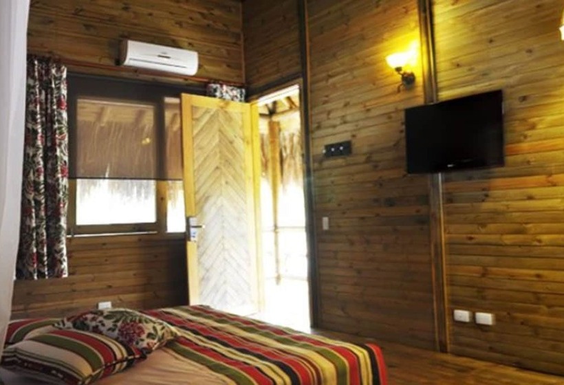 Quarto standard, La Ardilla De Santa Fe