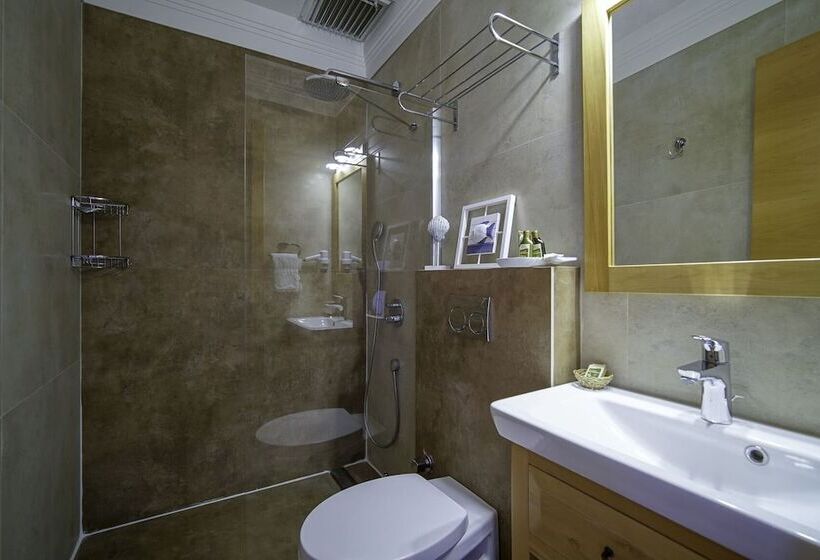 Номер Стандарт, Savana Butik Otel
